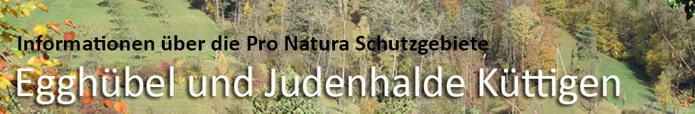 Judenhalde